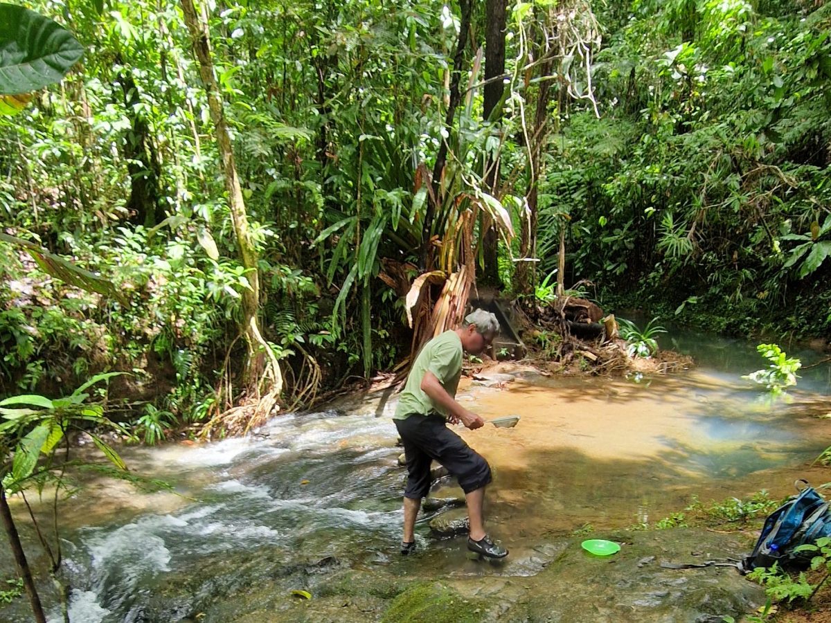 Forschungsergebnisse zu den Eintagsfliegen von&nbsp;Fidschi