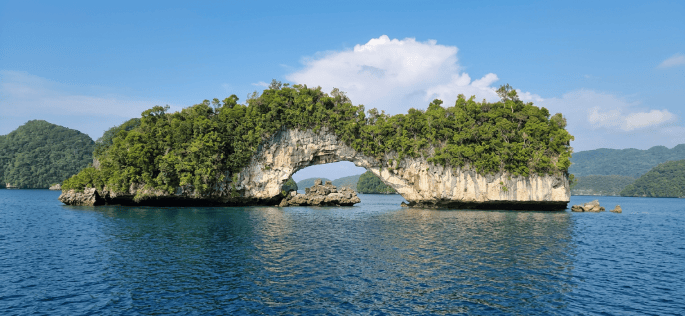 Lush limestone island with a large natural arch in blue water